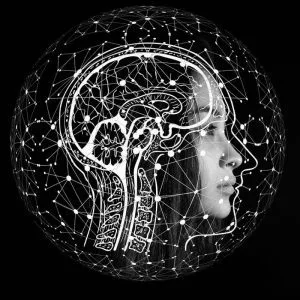 Fine Tune Your Brain 21-day Challenge