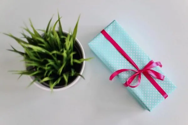 Life is A Gift 21-day Challenge