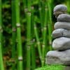 Spiritual Laws of Success 21-day Challenge
