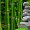Spiritual Laws of Success 21-day Challenge