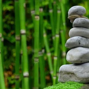 Spiritual Laws of Success 21-day Challenge