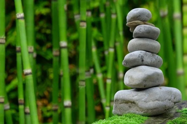 Spiritual Laws of Success 21-day Challenge
